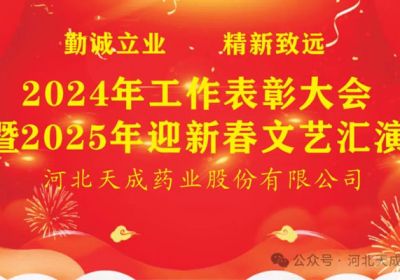 公司2024年工作总结暨2025年迎新春文艺汇演圆满结束